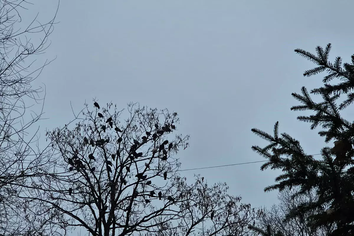 Аяз, көктайғақ, жел: сенбі күнгі ауа райы болжамы