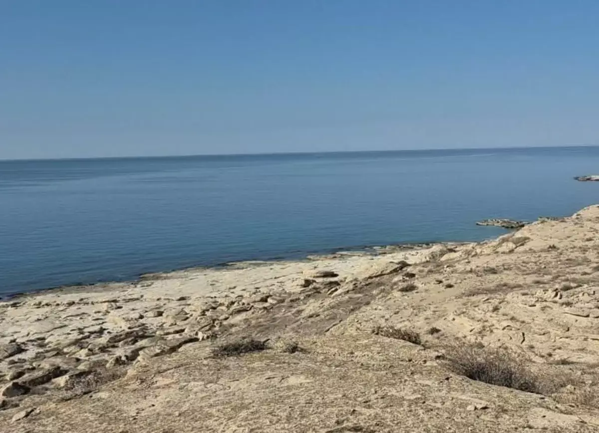 Эксперт: маловодье Волги не угрожает Каспию - новости на Lada.kz 27.12.2025