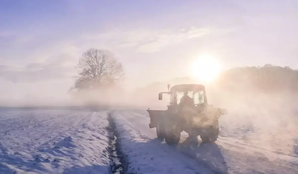 Ақмола облысында трактор астында қалған жұмысшы көз жұмды