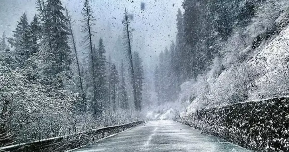  28 желтоқсанға арналған ауа райы болжамы жарияланды 