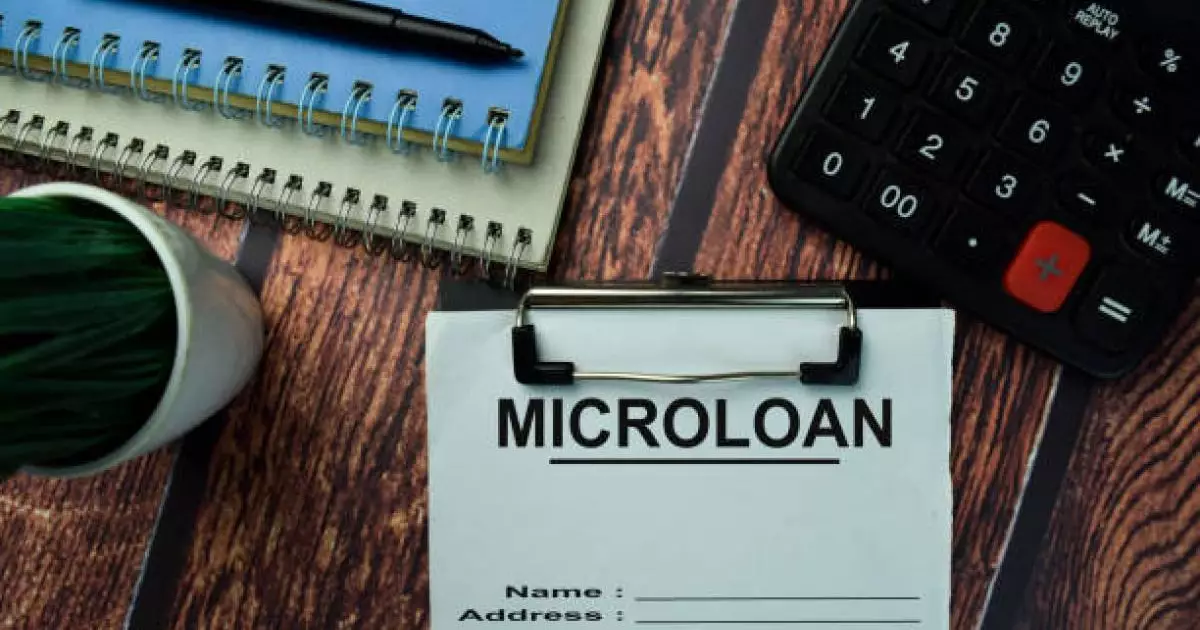  21 жасқа толмағандардың «микрозайм» алуын қиындататын құжат әзірленіп жатыр 