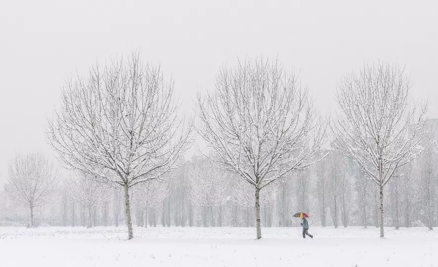Штормовые предупреждения на воскресенье объявлены в 13 областях Казахстана
