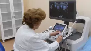 Алматылықтар төлемдегі үзіліс кезінде сақтандырылған мәртебесін 6 айға дейін сақтай алады