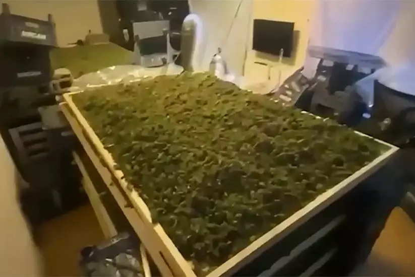 В Турции за неделю изъяли более 350 кг наркотиков