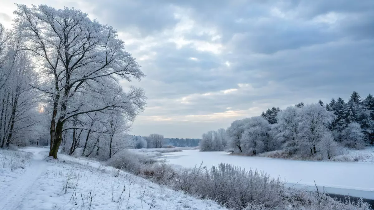 Изменчивая погода: что ждёт казахстанцев в последние дни декабря