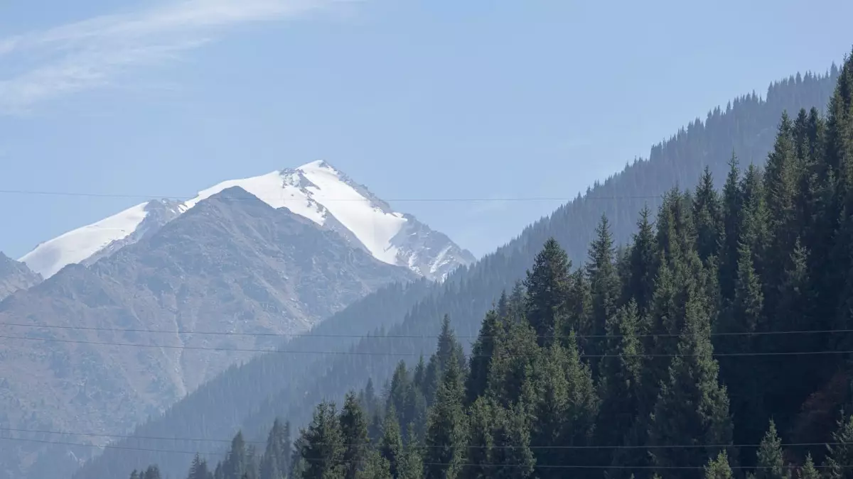 Алматы тауларында болған оқиғадан кейін құтқарушылар туристерге үндеу жасады