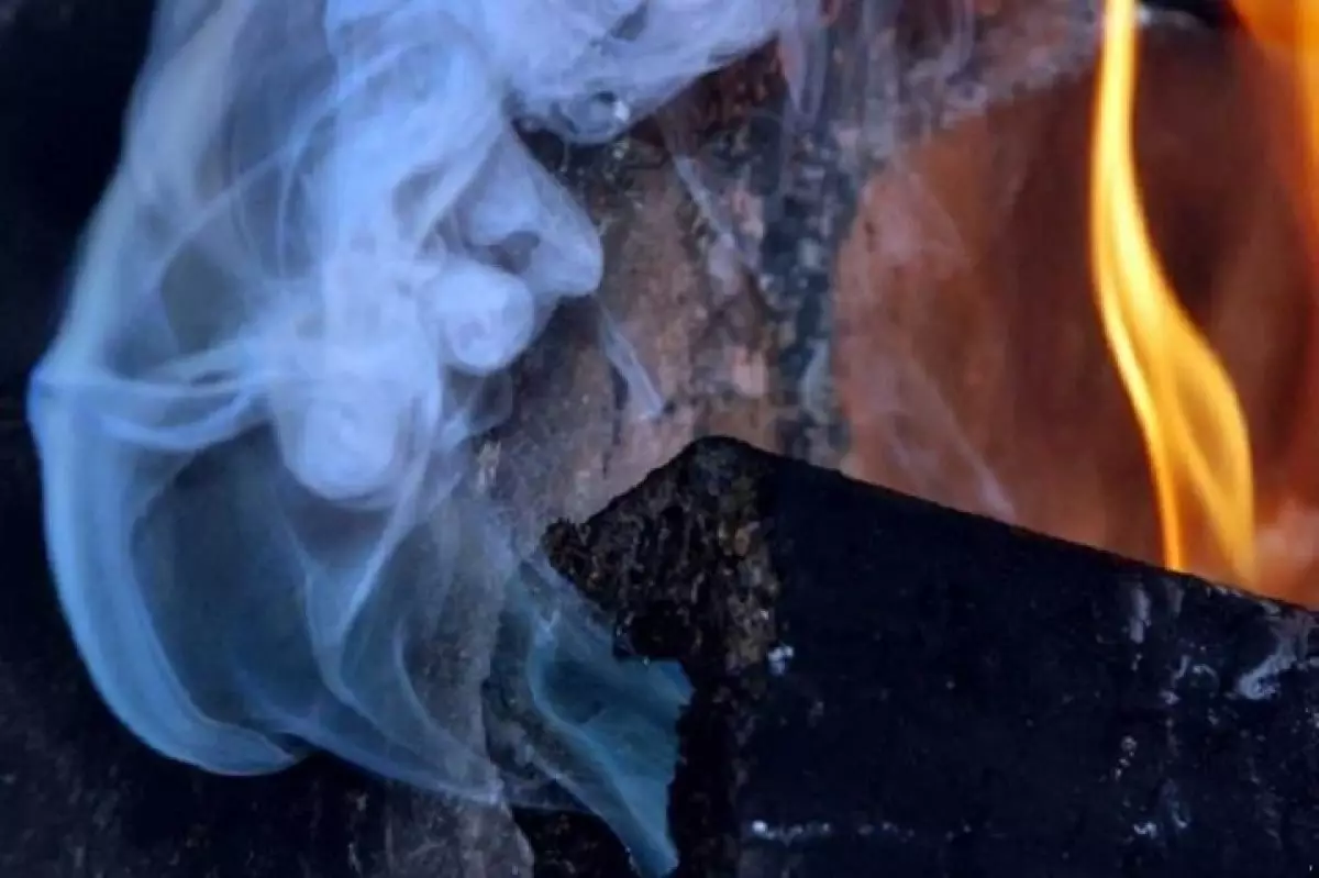 Шымкентте 8 адам газдан уланып қалды