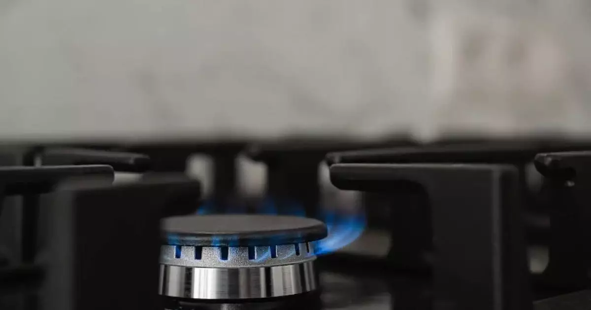  Шымкентте бір отбасының 8 мүшесі газдан уланды 