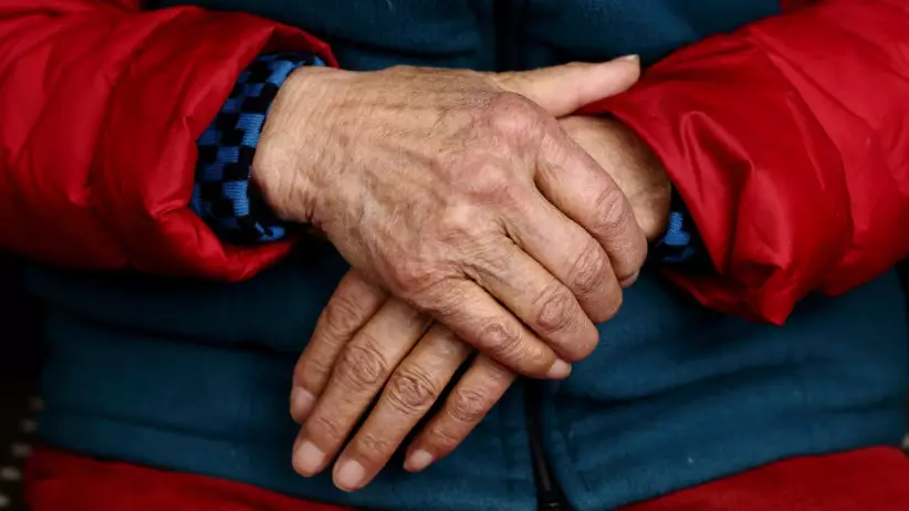 Германияда зейнет жасын көтеру ұсынылды