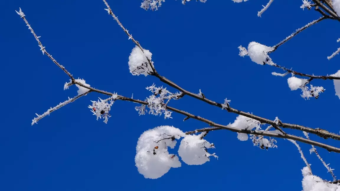 Қазгидромет 29 желтоқсанға дауылды ескерту жариялады