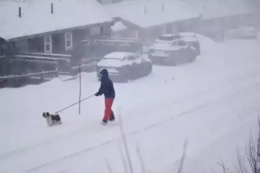 В Швеции во время шторма погибли три человека