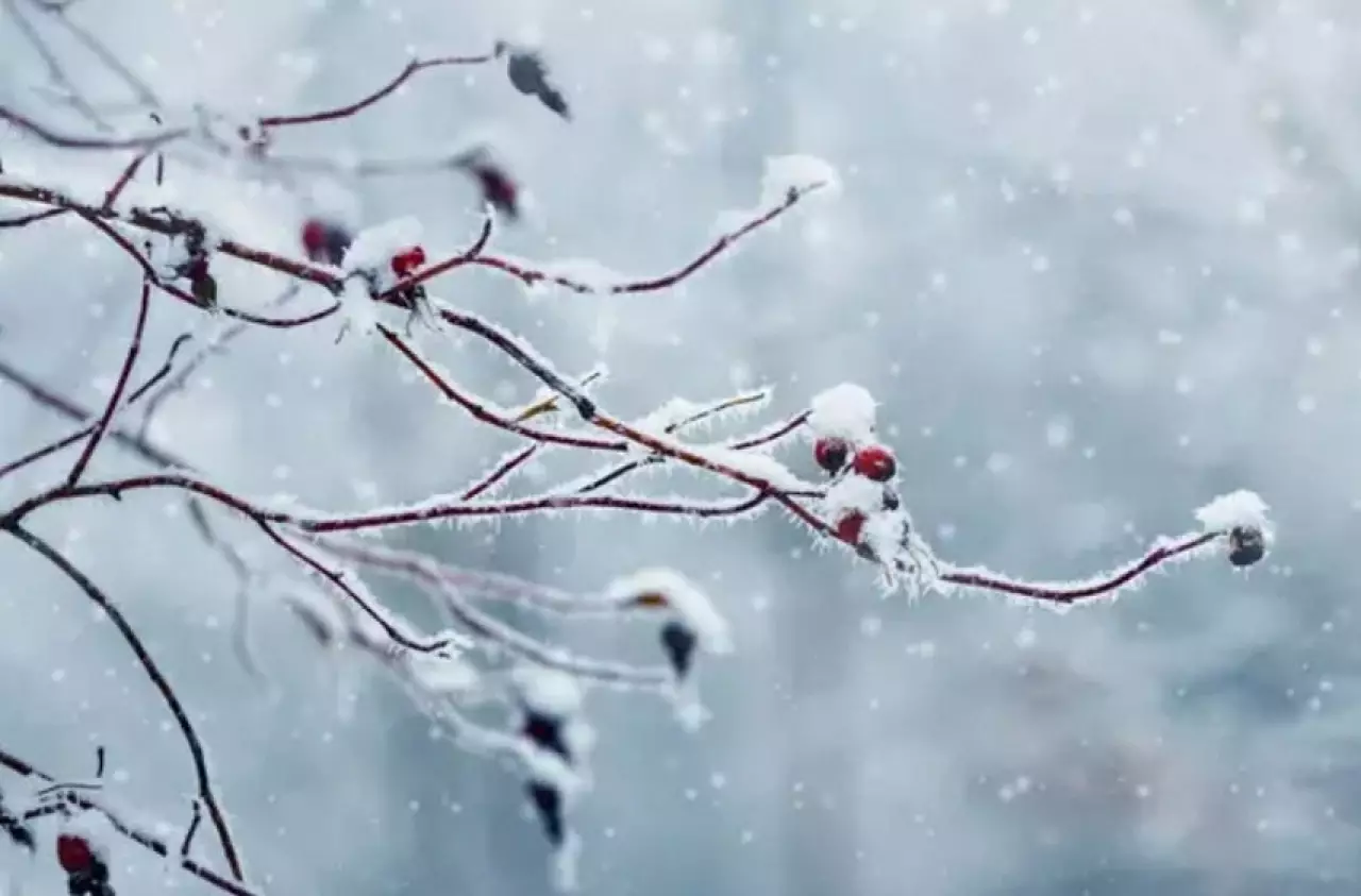 Штормовое предупреждение объявлено на большей части Казахстана