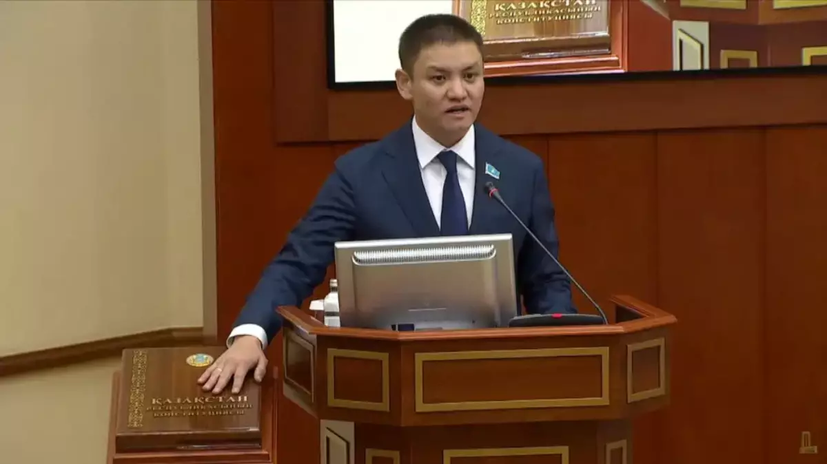 Депутат Жаңа салық кодексіндегі "қателіктерді" атады