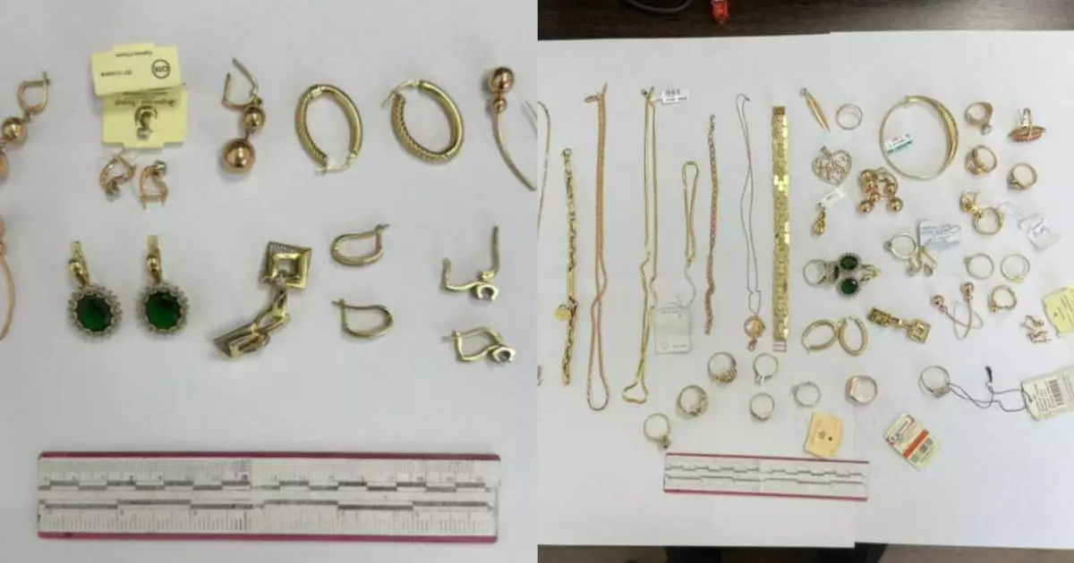  Түркістанда 8,5 млн теңге шығын келтірген пәтер ұрлығы әшкереленді 