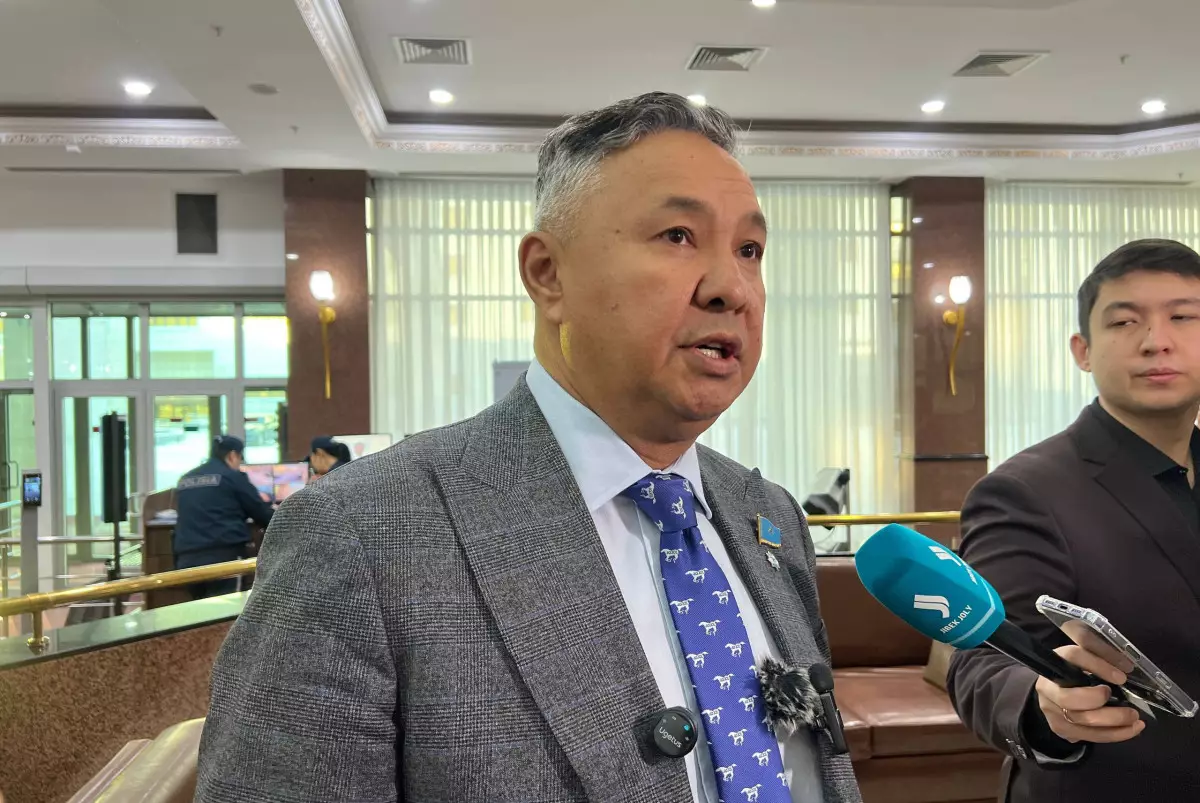 Новый Налоговый кодекс угрожает малому бизнесу — Перуашев