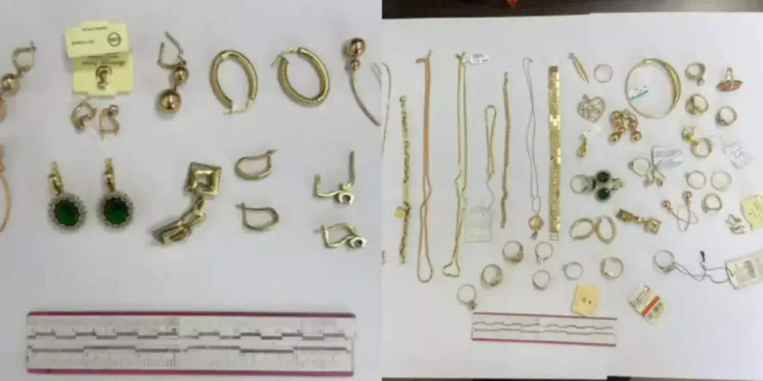 "Залал - 8,5 млн теңге": Түркістан облысында келін енесін тонап кеткен