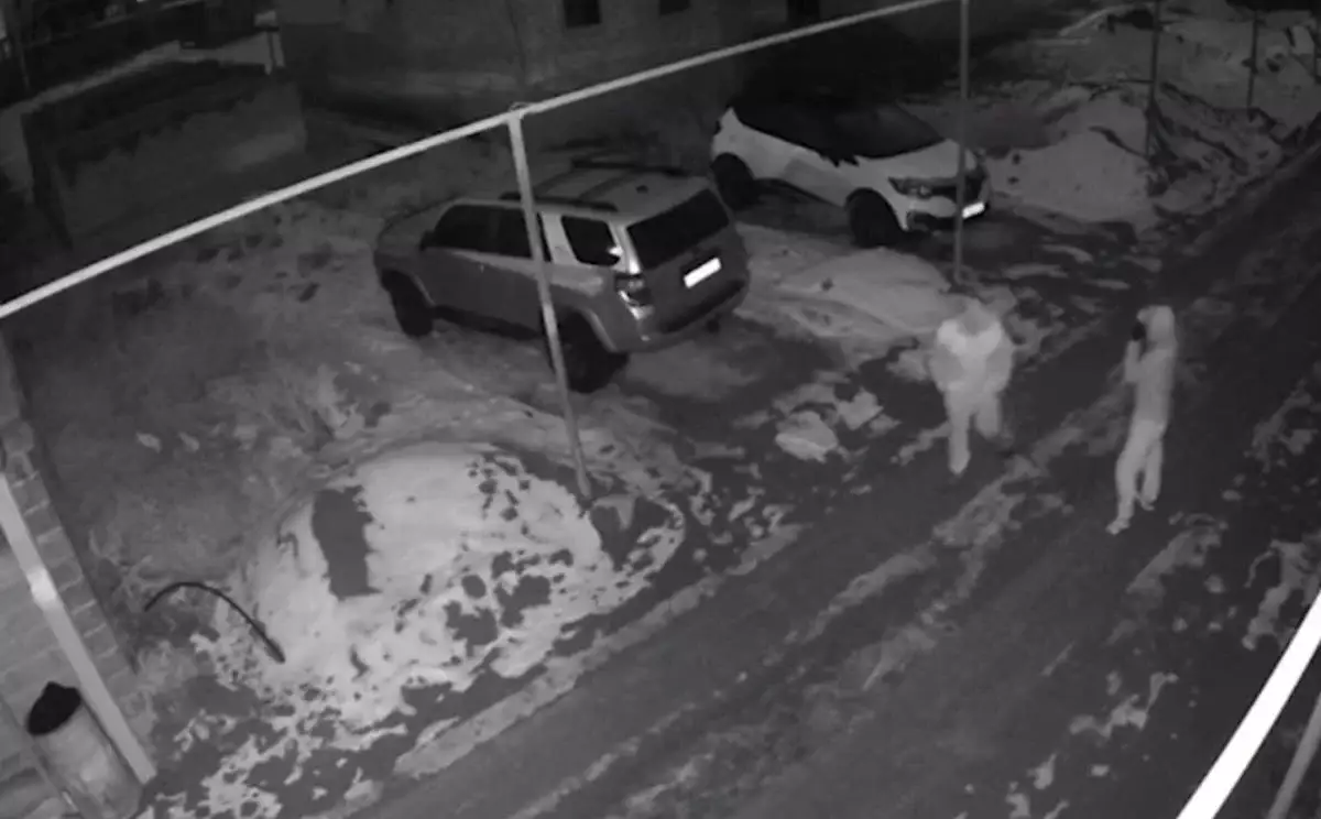 Алматыда пәтер ұрлық жасаған күдіктілер ұсталды