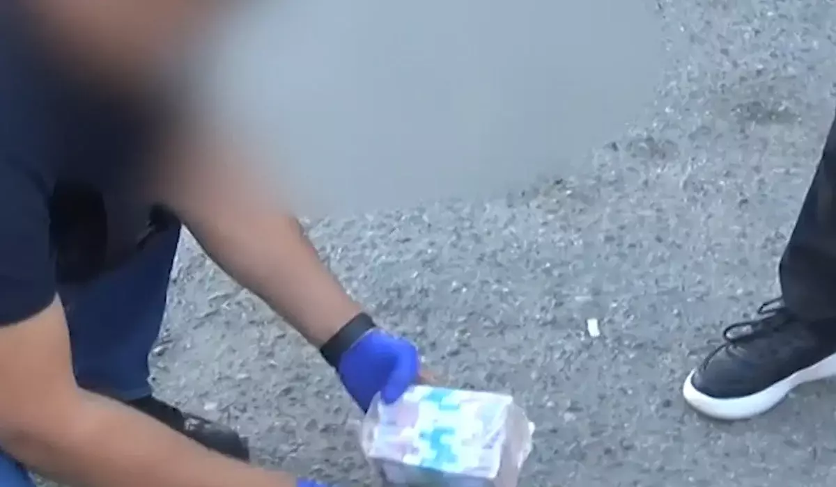 ШҚО-да алтын қазған екі жігіттің бостандығы үшін 10 мың доллар сұрағандар сотталды