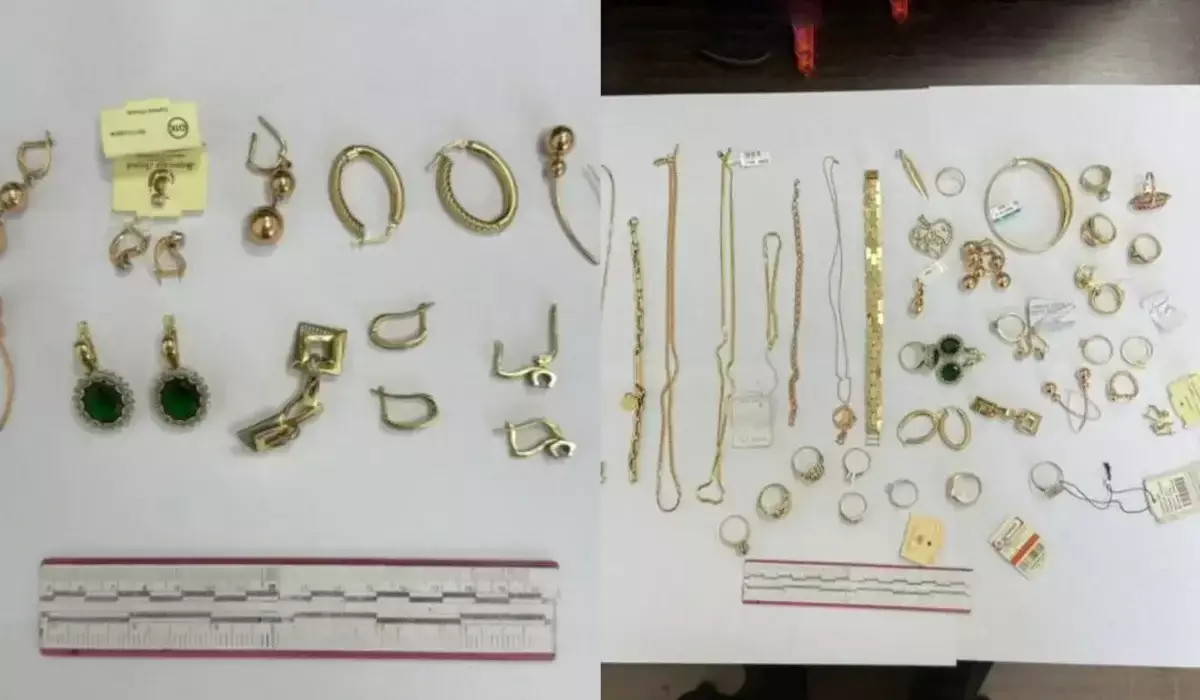 «Ақшаны құмар ойынға салған»: Түркістанда келіні енесін тонап кетті