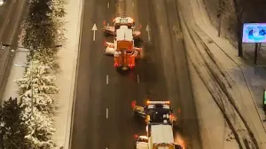 Көктайғақта тұздың орнына басқа материал қолданылады