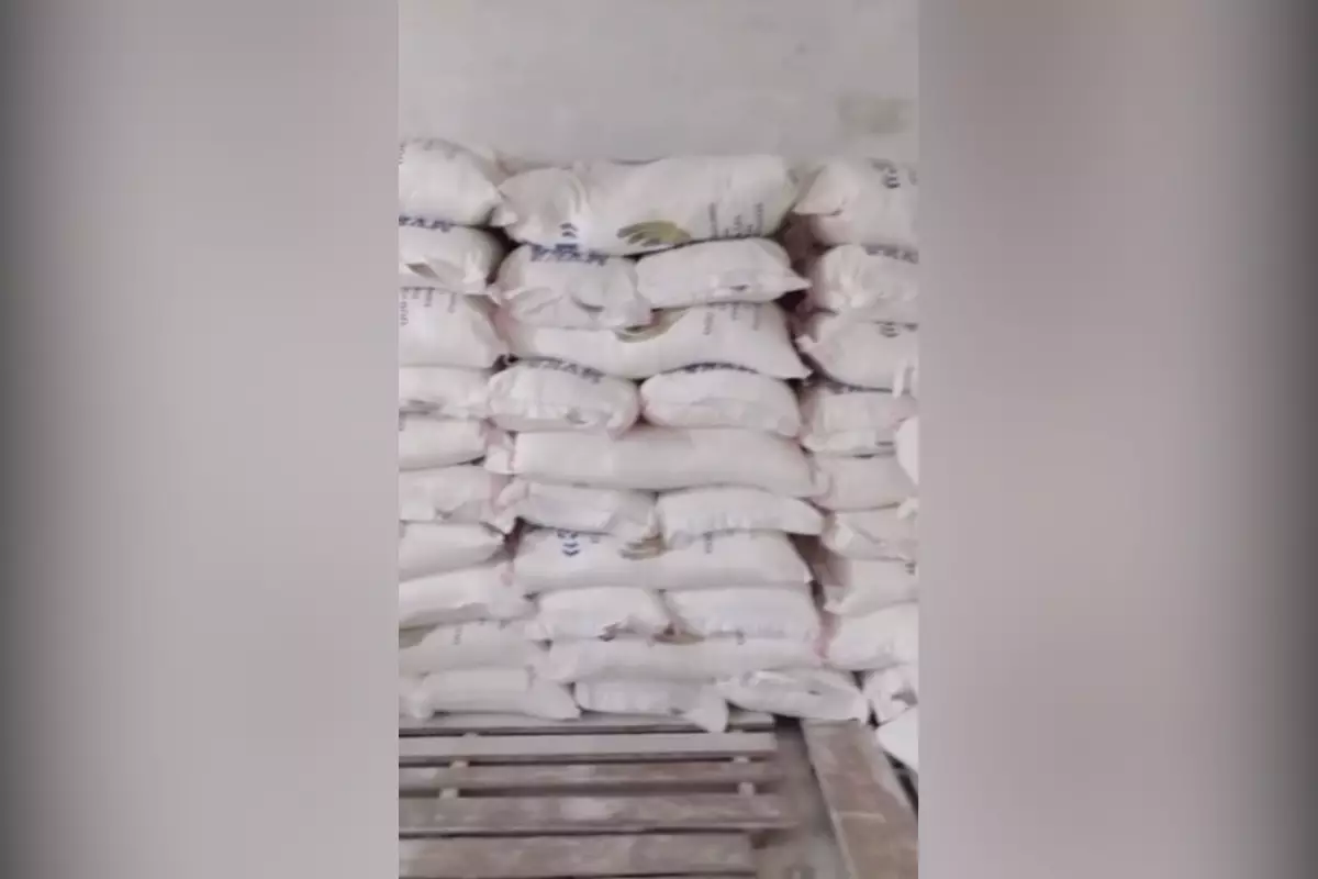 Фитосанитарный досмотр муки из России: что выявили специалисты в Курмангазинском районе