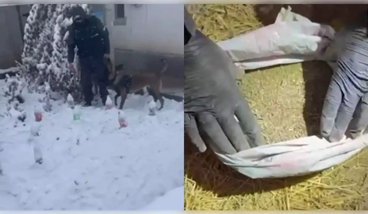 Алматыда есірткі сатумен айналысқан топ ұсталды