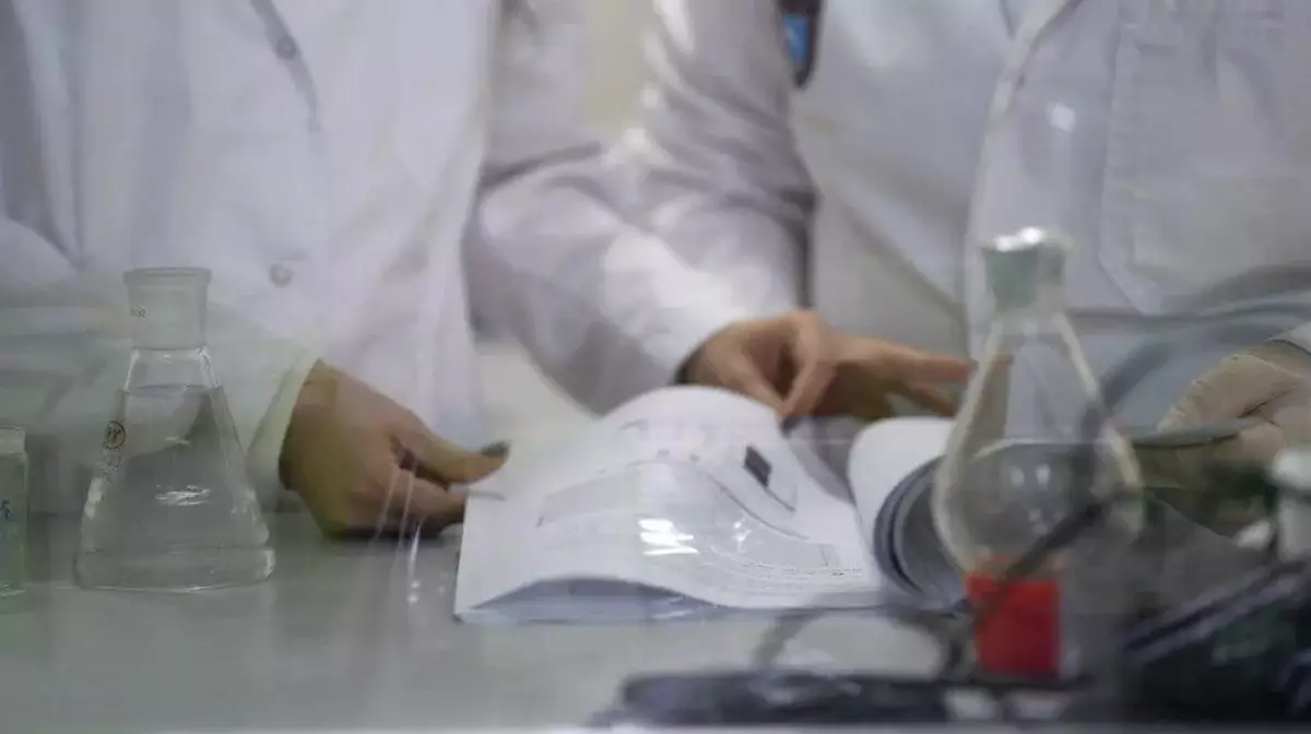 Цикорий против диабета: открытие казахстанского учёного может помочь 545 тысячам пациентов