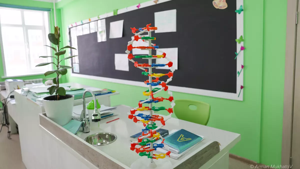 Министрлік 2025 жылы мектептерде қандай мәселе шешілгенін атады