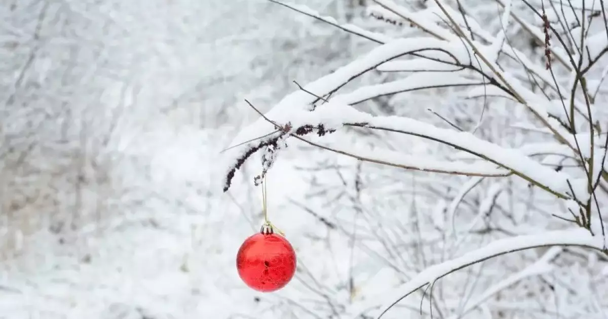  Қазақстанда Жаңа жылда күн 15 градусқа дейін жылынады 