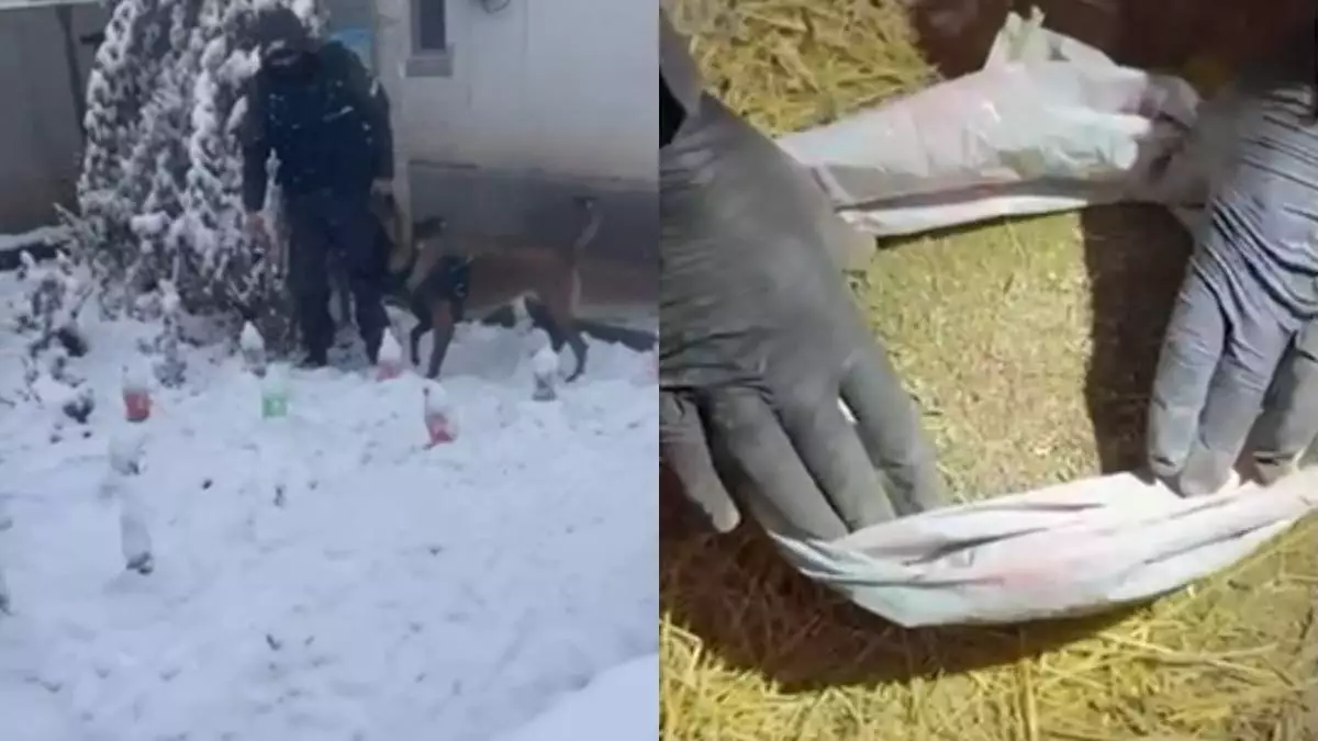 Партию наркотиков в особо крупном размере изъяли в Алматы