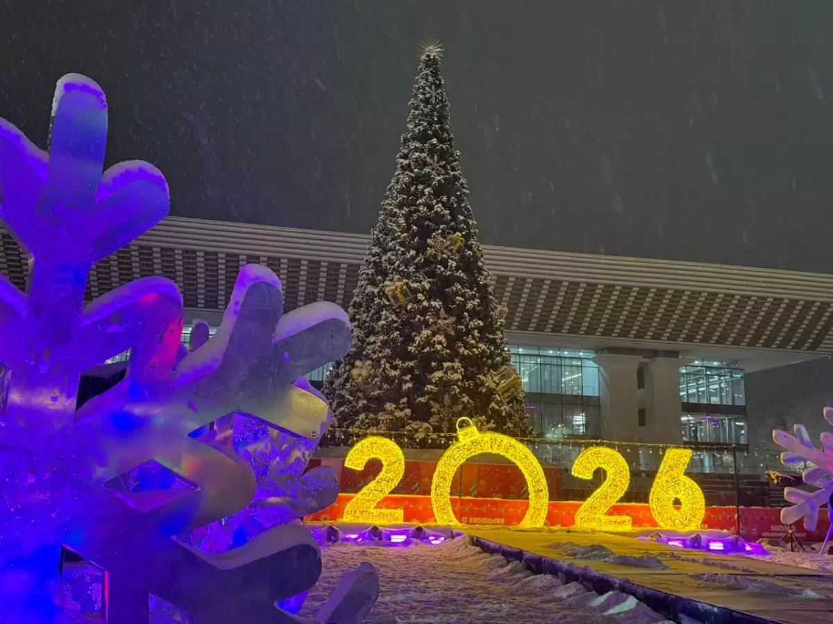 Жаңа жылда қазақстандықтар неге дайын болу керек