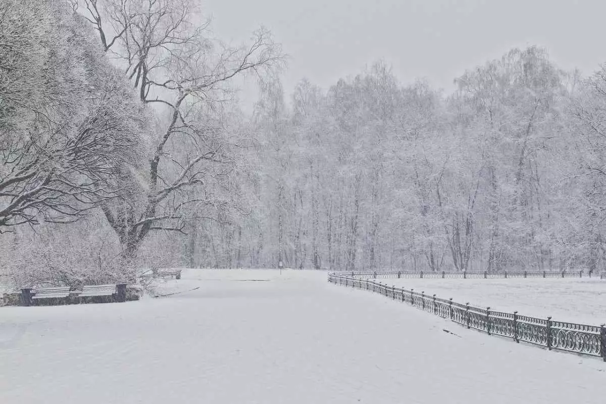 Снег и метель: штормовое предупреждение объявлено на большей части Казахстана