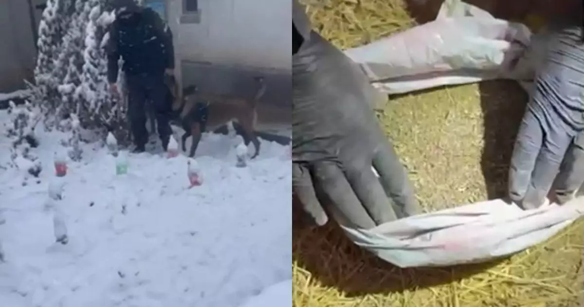  Алматыда ірі көлемдегі есірткі сату арнасы анықталды 