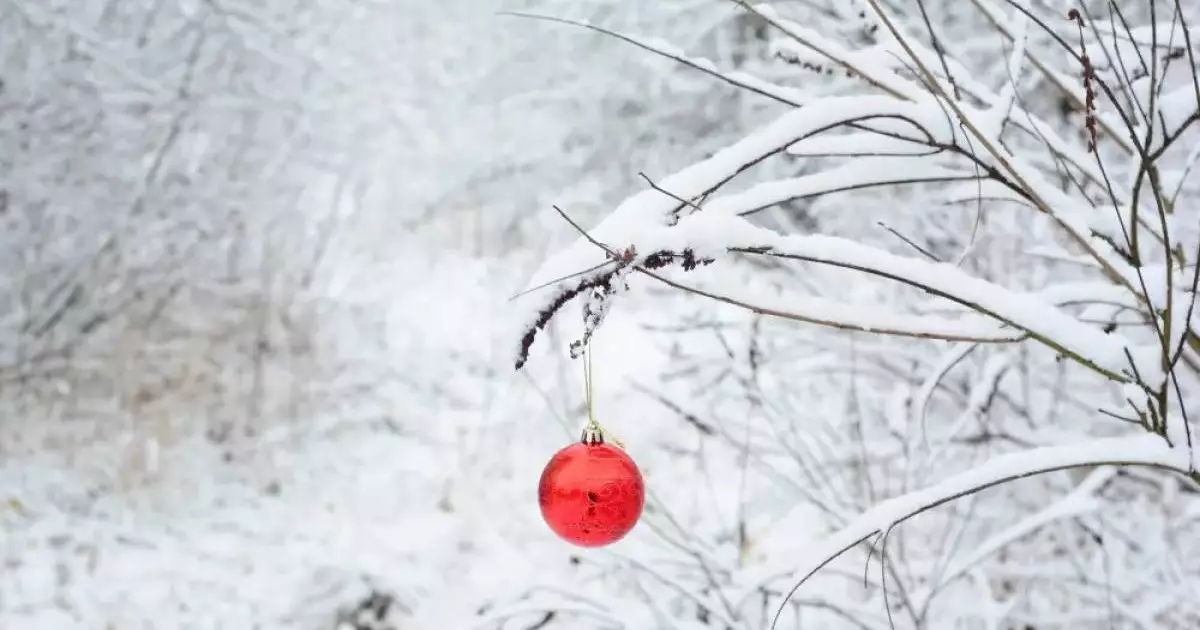  Неожиданную погоду прогнозируют на Новый год в Казахстане 