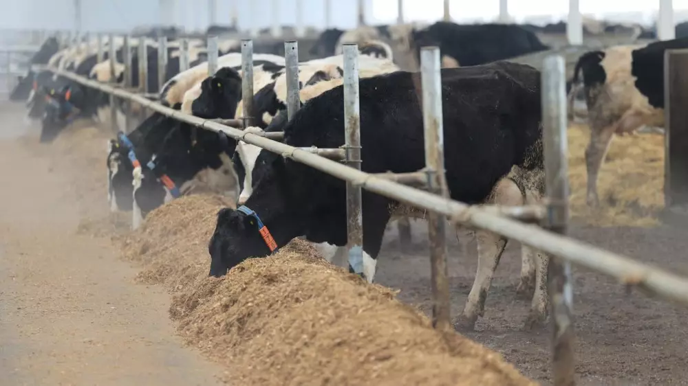 Аким Костанайской области подвёл итоги развития сёл