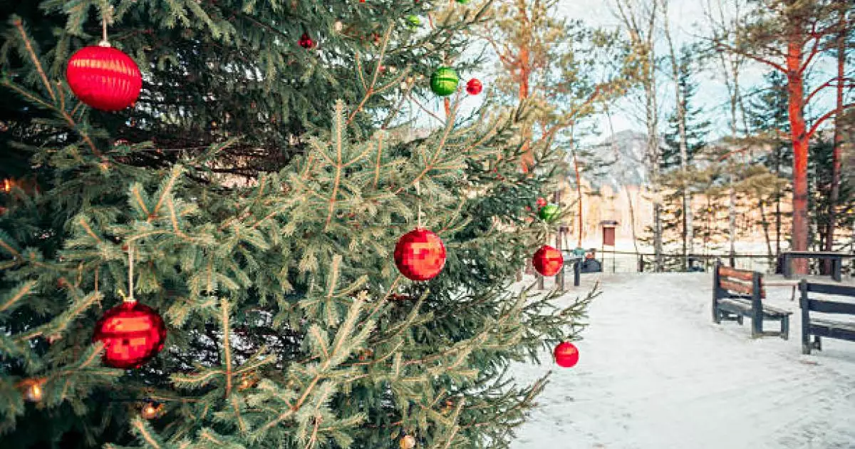  30-31 желтоқсанда ауа-райы қандай болады? 