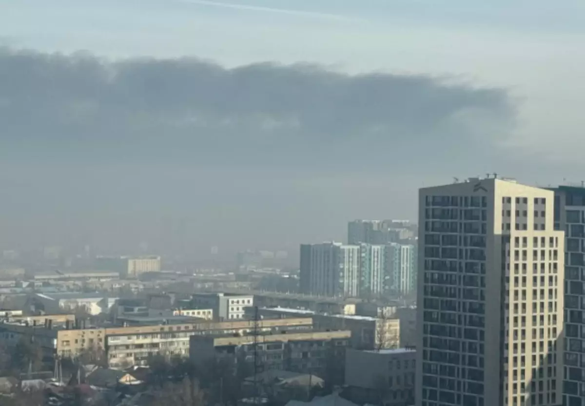 Алматылықтар көмірмен жұмыс істейтін жылу электр станциясын жабуды талап етіп жатыр