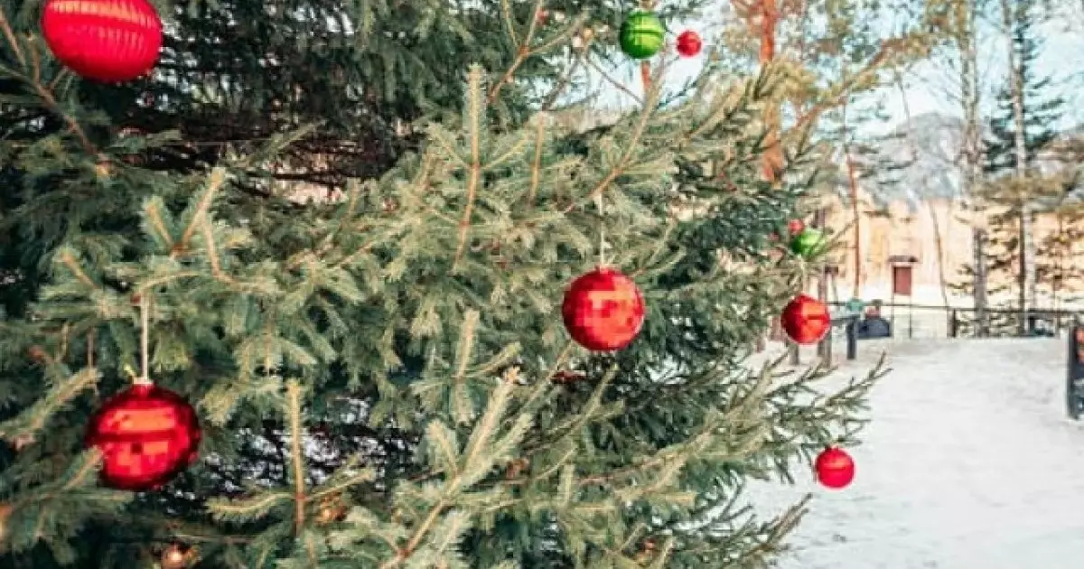  30-31 желтоқсанда ауа-райы қандай болатыны белгілі болды 