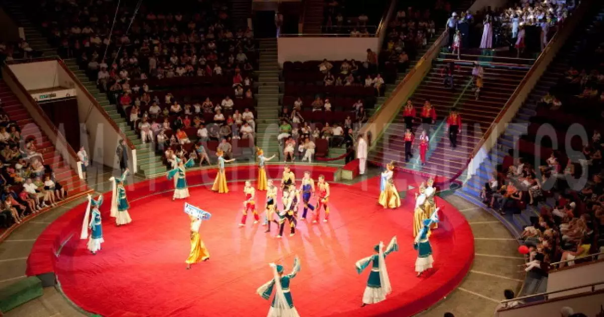  Алматыда цирк шоуынан кейін аумақ қоқыс үйіндісіне айналған (ВИДЕО) 