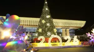 «Кел, Жаңа жыл!» концерті басталды 