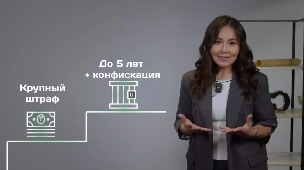 Кредиты, пирамиды и «лёгкие деньги»: что важно знать о финансах