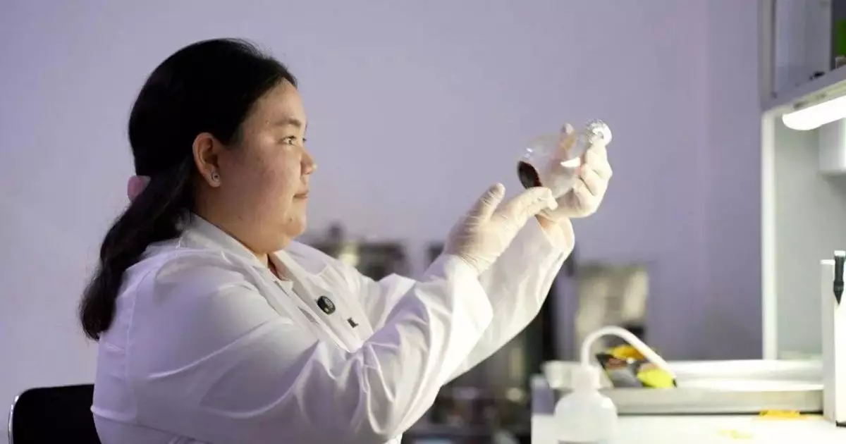  «Қандағы қант деңгейін төмендетеді»: отандық ғалым цикорийдің диабетке қарсы тиімді әсерін анықтады 