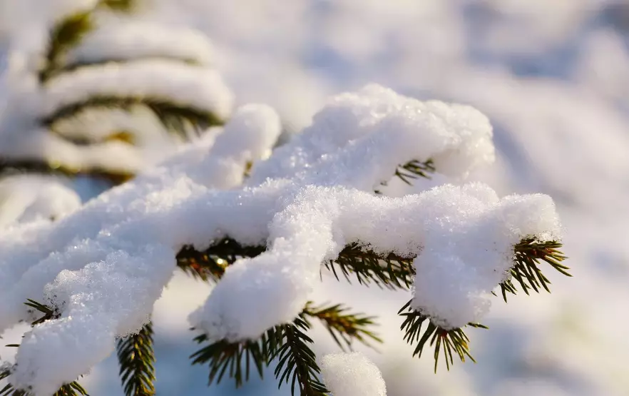 Осадки ожидаются во вторник в Астане и Шымкенте, в Алматы без осадков
