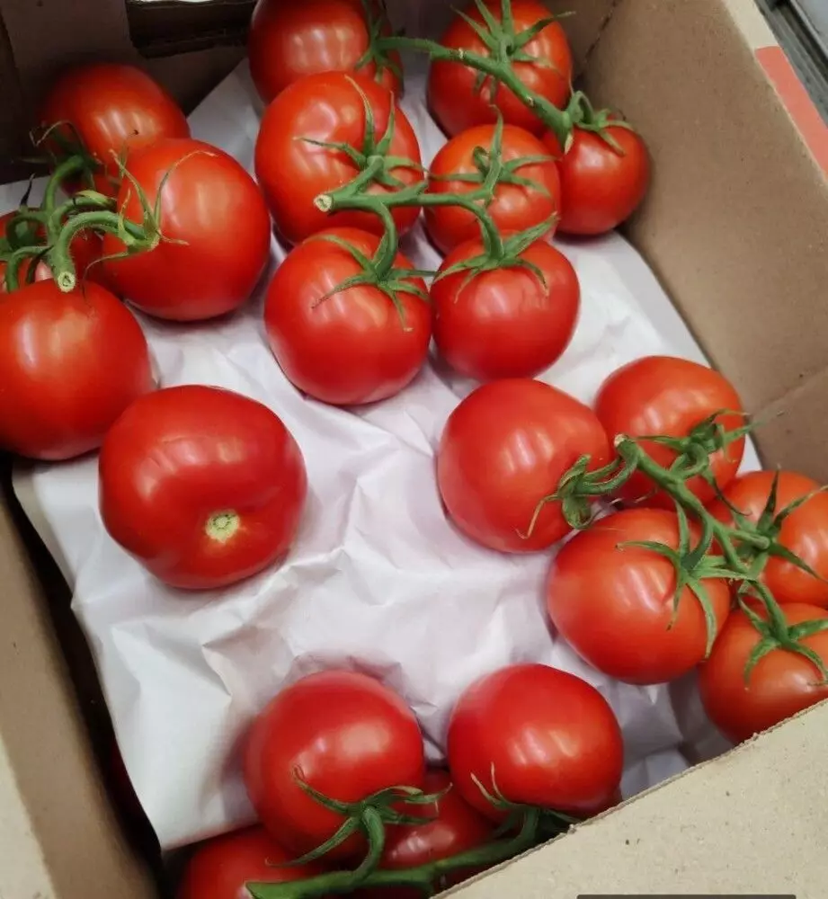 Овощи из Казахстана для кузбасских столов прошли проверку в объеме более 65 тонн.