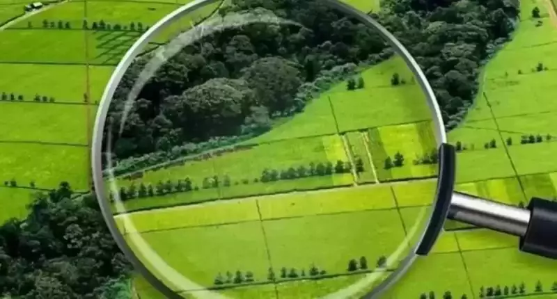 Принудительного изъятия земель опасаются казахстанские аграрии