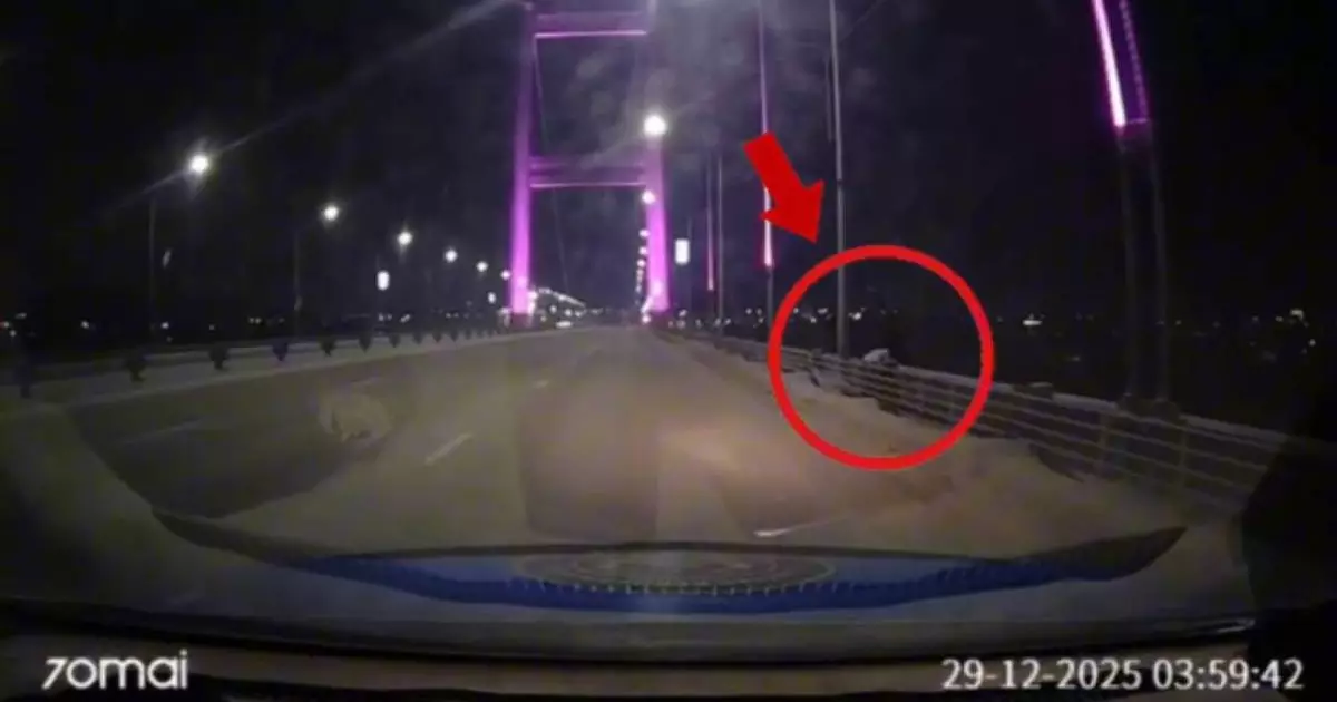  Семейлік полицейлер көпірден секірмек болған қызды құртқарып қалды 