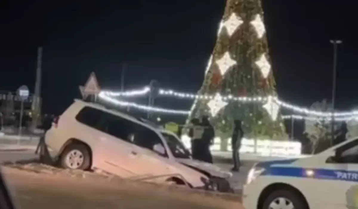 Көкшетауда көлік жүргізушісі шырша маңын тас-талқан етті (ВИДЕО)