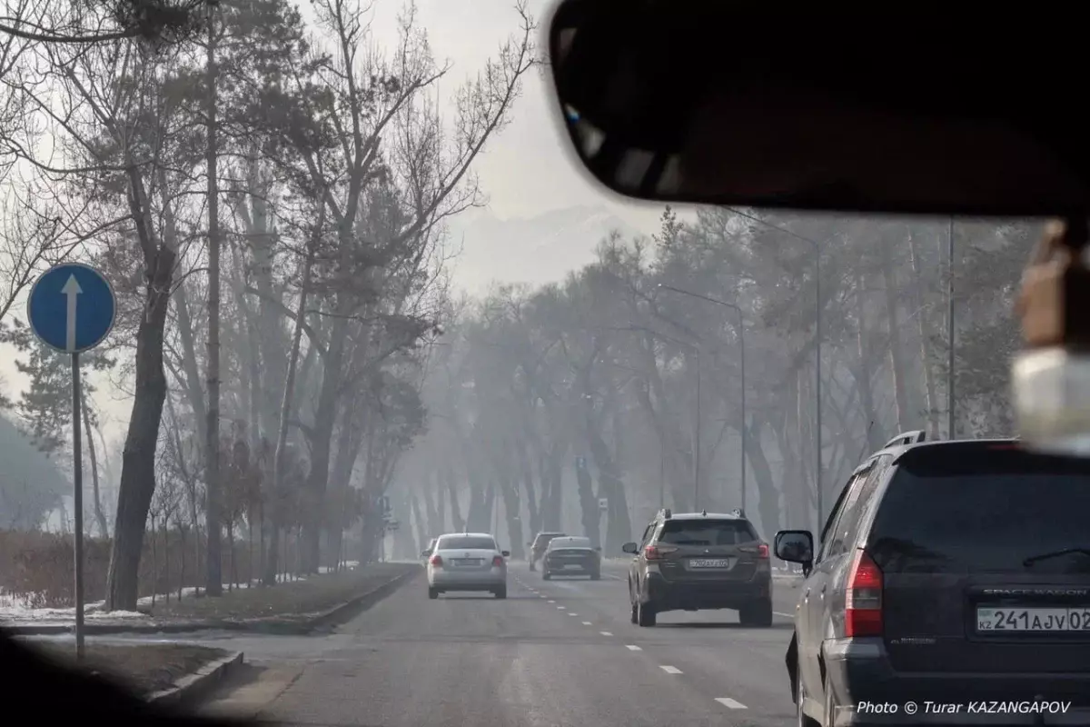 Алматинцы смогут продать свои старые машины акимату, но есть нюанс