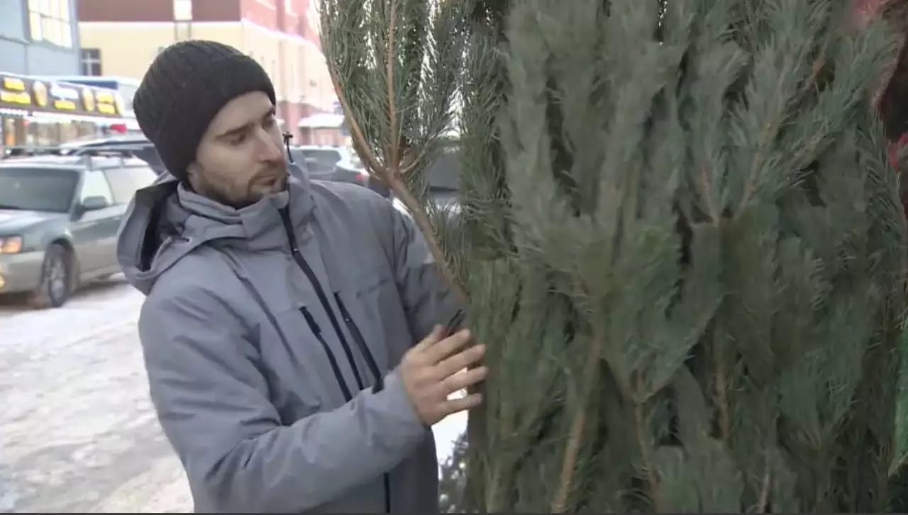 Елордада шырша саудасы қызып тұр