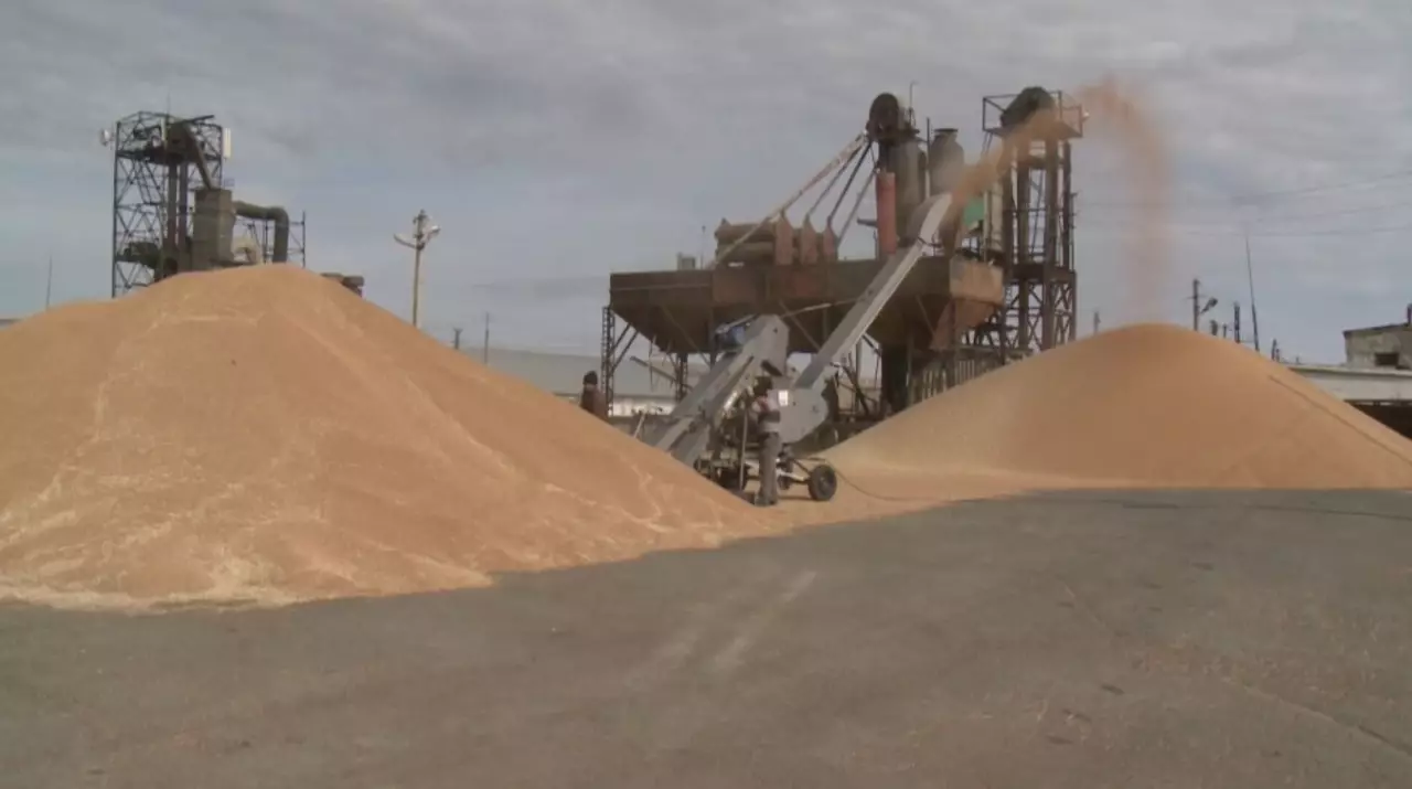 Биыл елімізде мол астық жиналды